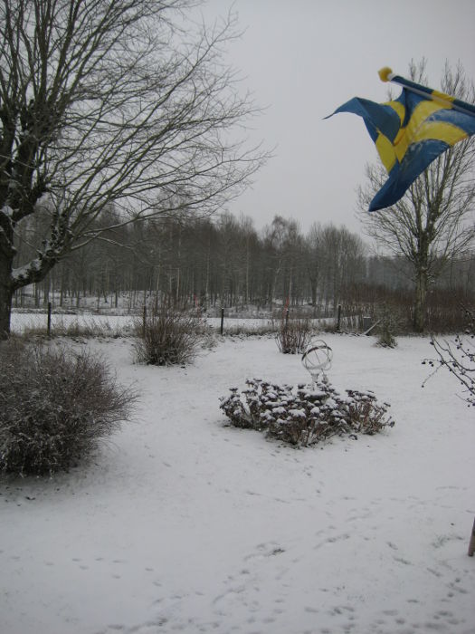 Snö