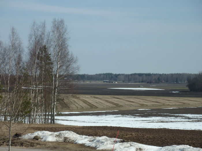 Utsikt från mitt rum