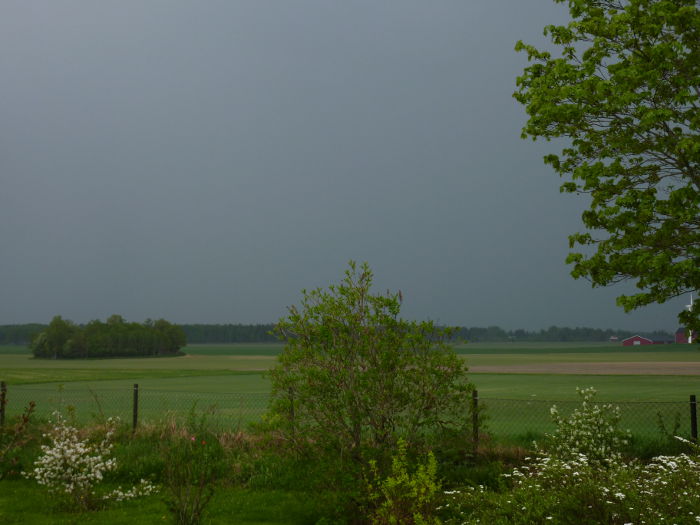 Thunderstorm