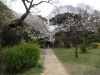 Hamarikyu Gardens, Tokyo