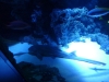 Sunshine Aquarium, Tokyo