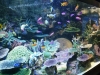 Sunshine Aquarium, Tokyo
