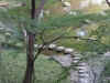 Koishikawa Korakuen Gardens, Tokyo