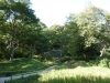 Koishikawa Korakuen Gardens, Tokyo