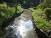 Koishikawa Korakuen Gardens, Tokyo