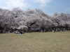 Edo-Tokyo Open-air Architectural Museum