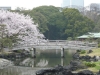 Hamarikyu Gardens, Tokyo