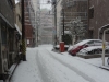 Snow in Tokyo