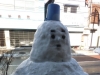 Snow in Tokyo