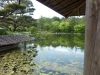 Showa Kinen Park, Tachikawa (Tokyo)