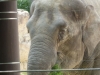 Ueno Zoo, Tokyo