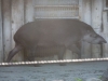 Ueno Zoo, Tokyo