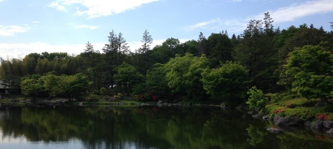 Showa Kinen Park i Tachikawa, maj 2015